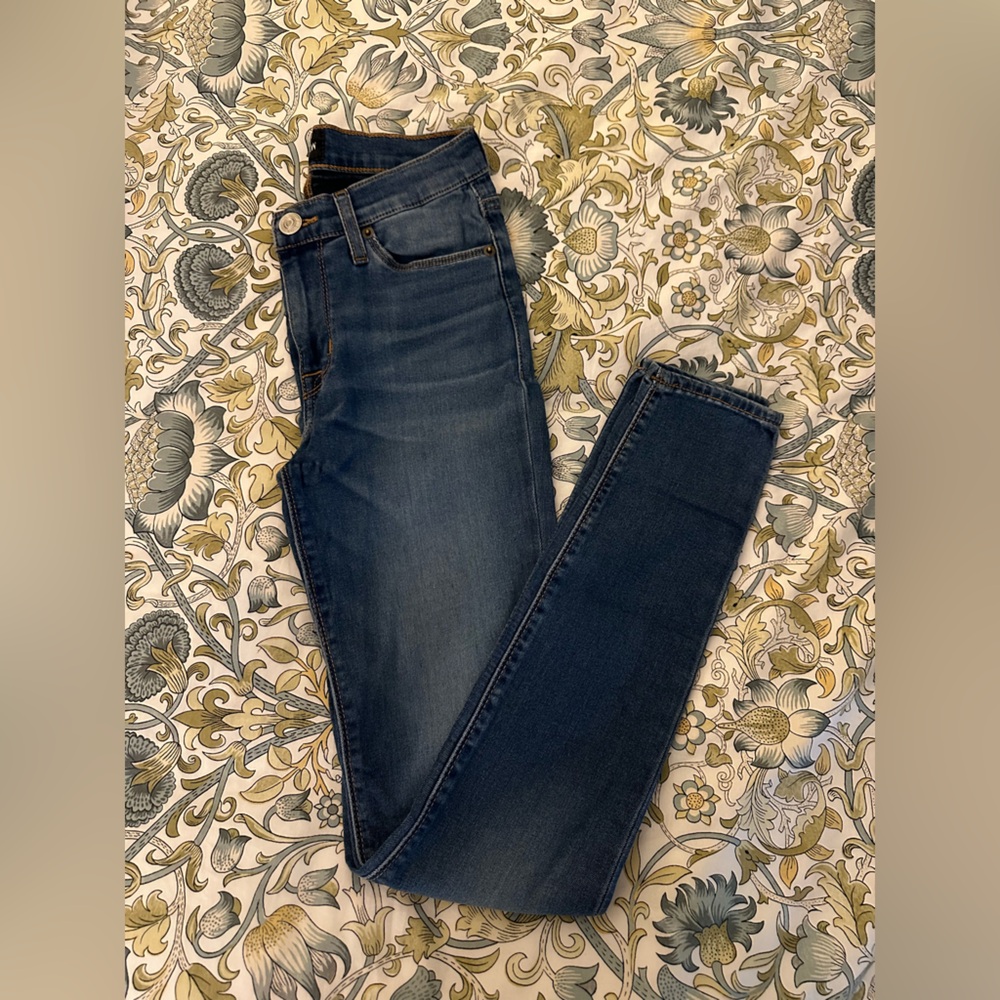 Hudson Natalie Super Skinny Jeans